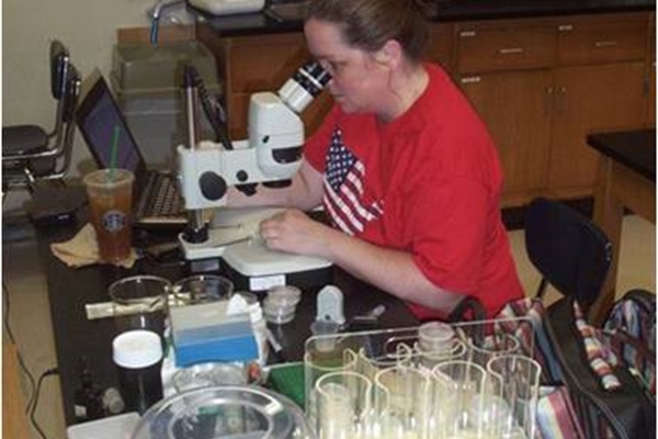 Summer student at work in the lab